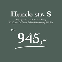 Hunde 3 - 10 kg